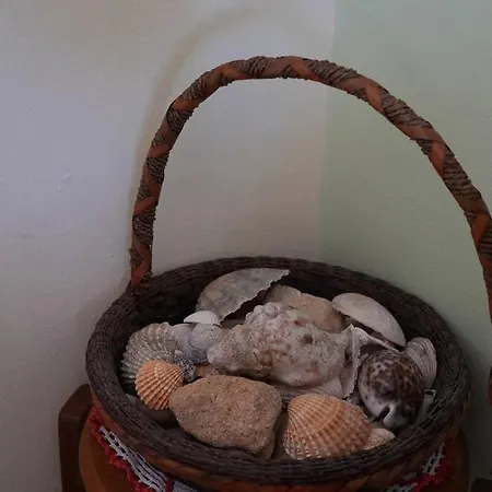 Spacious Portuguese Flat With Pool Next To