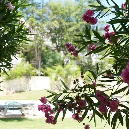 Spacious Portuguese Flat With Pool Next To *
