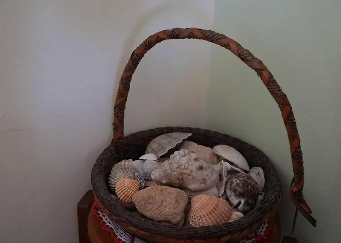 Spacious Portuguese Flat With Pool Next To