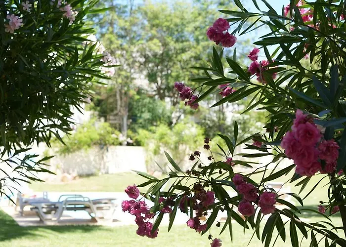Spacious Portuguese Flat With Pool Next To *