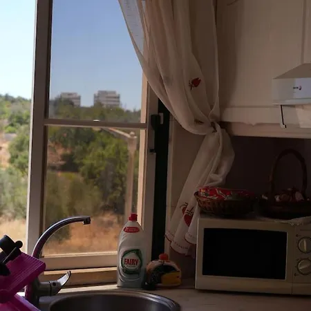 Spacious Portuguese Flat With Pool Next To アパート アルヴォル